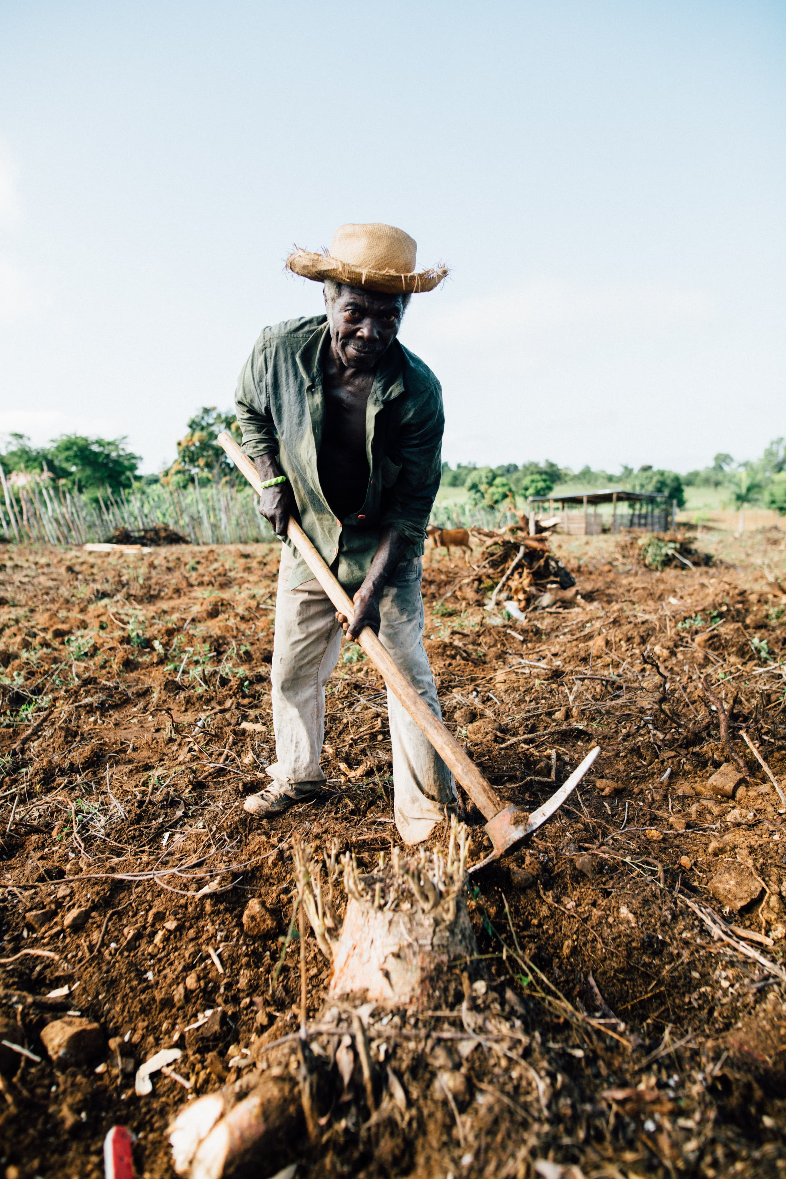 Farmer